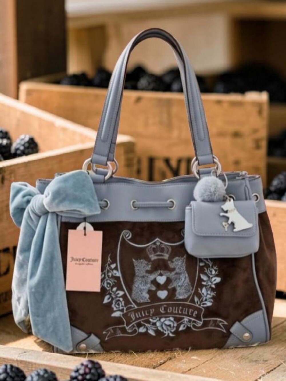 🪷SOLD🪷Viral Juicy Couture Chocolate and Blue New Love Chapter Tote Purse